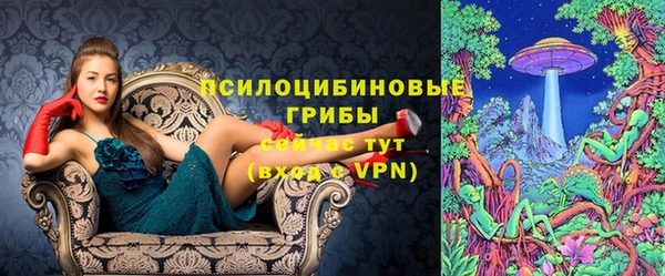 мет Нягань